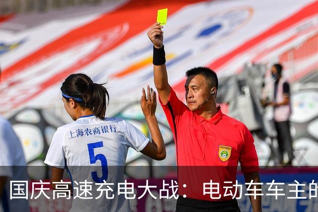 国庆高速充电大战：电动车车主的“劫后余生”记