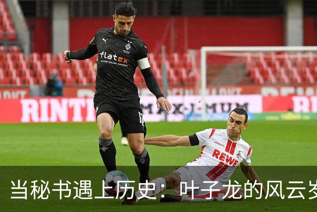 当秘书遇上历史：叶子龙的风云岁月