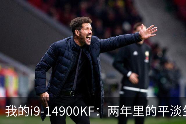 我的i9-14900KF：两年里的平淡生活与意外风波