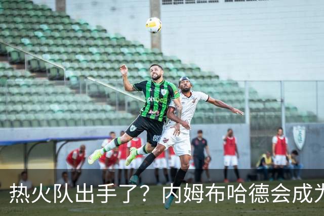 热火队出手了？内姆布哈德会成为新“热”的资产！