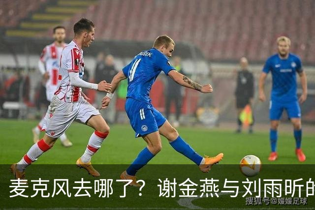麦克风去哪了？谢金燕与刘雨昕的舞台小插曲